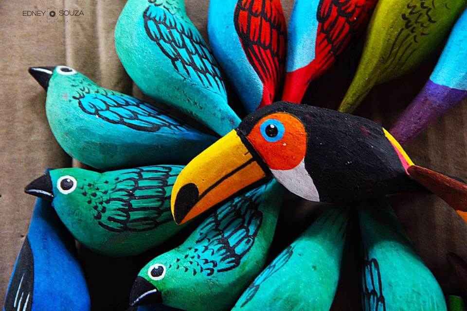 Aves de miriti, representando a fauna da Amazônia